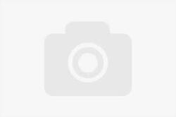 Professional Lab FG-P210-E1, filament 3D, PETG + CF, 1, 75mm, 1000g, Roșu (Red) (FG-P210-E1)