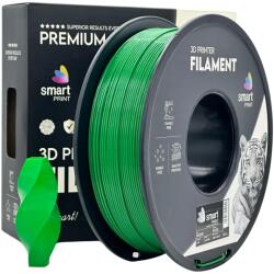 Smart Print FG-S31-E1, filament 3D, PETG, 1, 75 mm, 1000 g, Verde (Green) (FG-S31-E1)