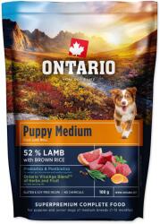 ONTARIO Puppy Medium Lamb & Brown Rice 0, 1kg