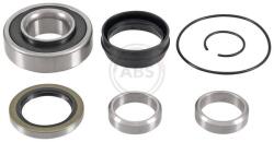 ABS Set rulment roata ABS 201719 (201719)