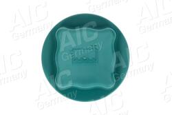 AIC Buson, vas expansiune AIC 55597 (55597)