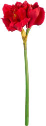  „Alessa amarillis - 66 cm (62247)