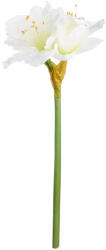  „Alessa amarillis - 66 cm (62246)