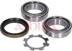 ASHIKA Set rulment roata ASHIKA 44-18001 (44-18001) - fixbox