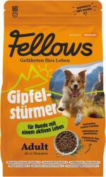 Fellows rovarfehérjés száraztáp aktív kutyáknak 2kg