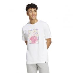 Adidas Doodle pamut póló férfi IY8074 3XL (IY8074)