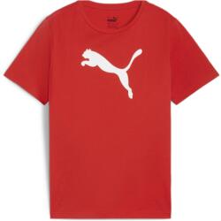 PUMA teamRISE pamut póló gyerek 658707 01 164 (658707 01)