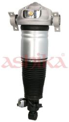 ASHIKA Brat arc pneumatic ASHIKA MA-AS050 (MA-AS050)