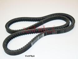 ASHIKA Curea transmisie ASHIKA 109-13X975 (109-13X975) - fixbox
