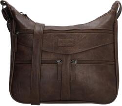Beagles Murcia 20344 Dark brown