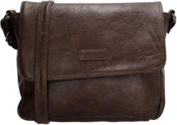 Beagles Murcia 20388 Dark brown
