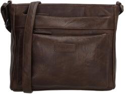 Beagles Murcia 20342 Dark brown