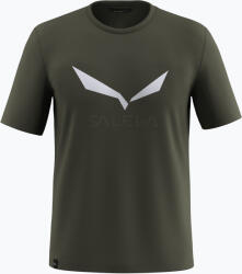 Salewa Férfi póló Salewa Solidlogo Dry dark olive
