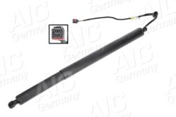 AIC Motor electric, haion AIC 75646 (75646)