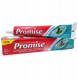  OEM Dabur Promise Fogkrém, szegfűszeg olajjal, antibakteriális, 100 ml (DAB462)