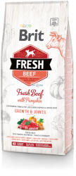 Brit Fresh Beef with pumpkin junior 12kg