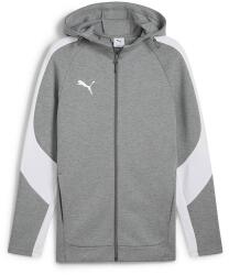 PUMA Hanorac barbati Puma Teamevostripe Hooded Jacket Medium 65994733 (65994733)