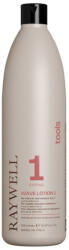 Raywell Tools WAVE - Dauer Víz 1 (500 ml)