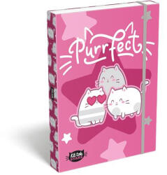 LIZZY Kit tok Stars Purrfect A4 (TICLFBKSA4)