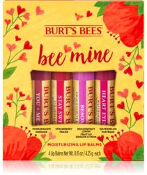 Burt's Bees Bee Mine ajakápoló méhviasszal íz Pomegranate, Strawberry, Dragonfruit Lemon, Watermelon 4x4.25 g