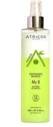  Spray Bifazic Leave-In pentru Descurcarea Părului cu Apă de Bambus Organic Atricos, 250 ml