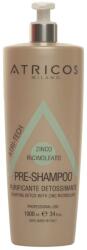  Șampon Detoxifiant Pre-Tratament pentru Curățarea Profundă a Părului și Scalpului Atricos Purifying Detox, 1000 ml