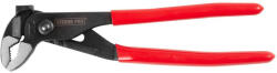 Strend Pro Clește pentru pompă de apă, Strend Pro, negru/roșu, 250 mm, fălci zimțate, deschidere reglabilă a fălcilor, cu cap de ciocan, metal, acoperire PVC Cleste