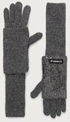 Pinko mănuși pentru femei 9BY2-REDZZE_90X (107254.A3EJ)