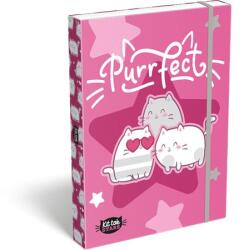 465 Füzetbox, A4, LIZZYSULI, "Kit tok Stars Purrfect (TICLFBKSA4)