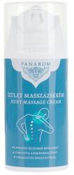 Panasonic Masszázskrém, gyulladáscsökkentő, 100 ml, PANAROM "Ízület (EMP047)