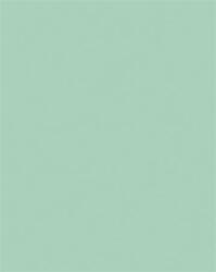 468 Dekorkarton, 2 oldalas, 50x70cm, 220 g, 10 lap, FOLIA, menta (FL61221025)