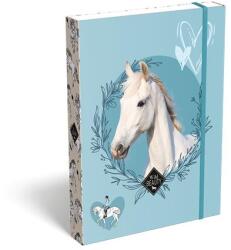 465 Füzetbox, A5, LIZZYSULI, "Wild Beauty, Sport Club (TICLFBWBA5)