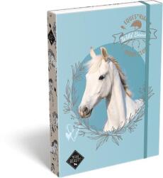 465 Füzetbox, A4, LIZZYSULI, "Wild Beauty, Sport Club (TICLFBWBA4)