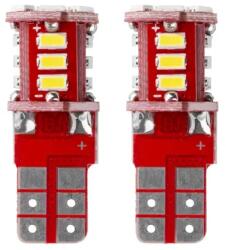 AMiO LED izzók STANDARD T10 W5W 21xSMD 3014 12V