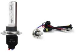 AMiO xenon izzó H7M 4300K fém