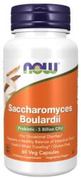 NOW Saccharomyces boulardii, ideal pentru călătoriile în străinătate, NOW (60 capsule)