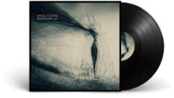 Expensive Woodland Recordings Transmission 1967 | Pink Floyd