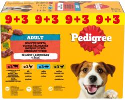PEDIGREE -PEDIGREE Alutasak 12-pack 9+3 GRÁTISZ
