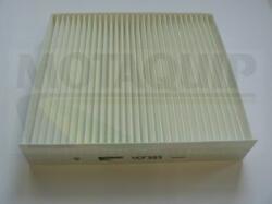MOTAQUIP Filtru aer habitaclu / polen MOTAQUIP VCF393 (VCF393)