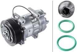 HELLA Compresor, climatizare HELLA 8FK 366 200-041 (8FK 366 200-041) - fixbox