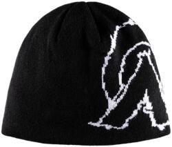 AYCANE Logo Toque Black Téli sapka