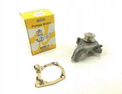  Rhiag Vízpumpa Ford Escort VI Mondeo II 1995-2000 1317913