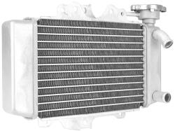 P2R (Motorisé) P2R Honda 125 SH maxirobogó hűtő 2005-2012 (OEM: 19010-KTF-641) P2R (Motorisé) Motoralkatrészek Hűtőrendszer és vízpumpák Hűtőradiátorok és hőcserélők