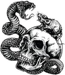 Lethal Threat Mini Skull Snake vs Rat matrica (60x80 mm) LETHAL THREAT Váz, idomok és járműkiegészítők Matricák és járműdekoráció Egyéb matricák és dekorációs elemek