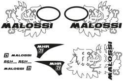 Malossi Matricakészlet Malossi Trophy Vespa Primavera / Sprint Malossi Váz, idomok és járműkiegészítők Matricák és járműdekoráció Egyéb matricák és dekorációs elemek