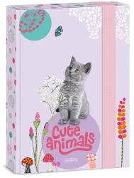 Ars Una A5 füzetbox Cute Animals-kitten (5368) 24