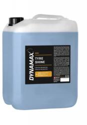 DYNAMAX Dxe5 - Gumipolír 10kg