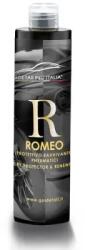 GOLDETAIL ROMEO - Gumiabroncs védelem és felújítás 250 ml