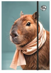 OPTISCHOOL Füzetbox, A4, OPTISCHOOL, "Capybara (27IFB00-004) - iroszer24