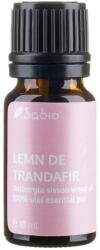 SABIO Ulei esential din lemn de trandafir (dalbergia sissoo wood oil), 10ml, Sabio